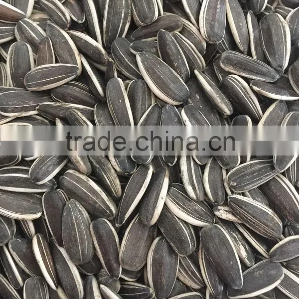 Black Sunflower Seeds 5009