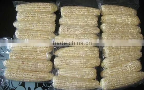 IQF Frozen Yellow Corn Cob in Vacuum Package photo-4