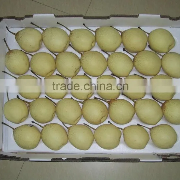 New Crop of China Fresh ya Pear for Hot Sale photo-6