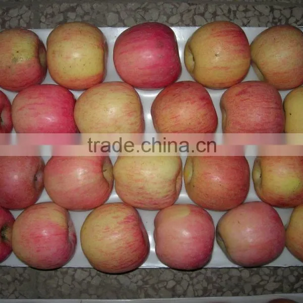 2015 New Crop Chinese Fresh Fuji Apple From Best Food photo-5