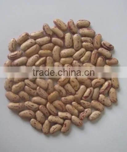 Light Speckled Kidney Beans