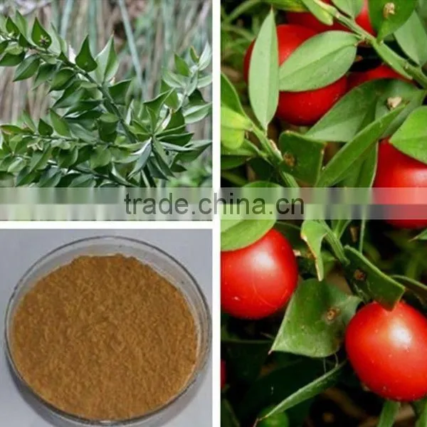 Butcher's Broom Root Extract Ruscus Aculeatus Root Extract photo-2