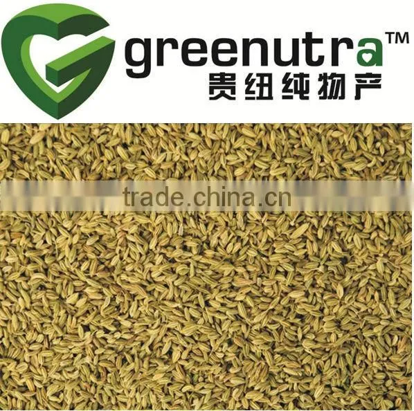 Essential Oil Fennel Oil