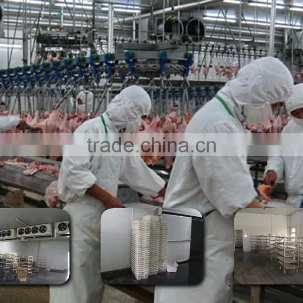 00861805209268 Halal Chickens Slaughtering Equipment for Abattoir House photo-4