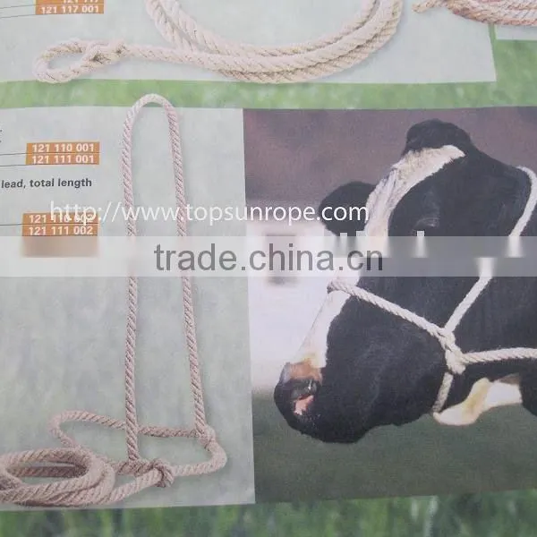 Halters With Lead Horse Saddlery