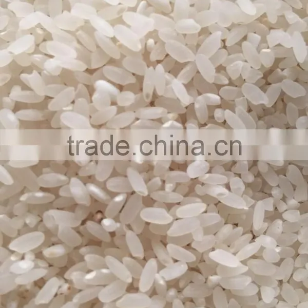 Grain Polisher photo-4
