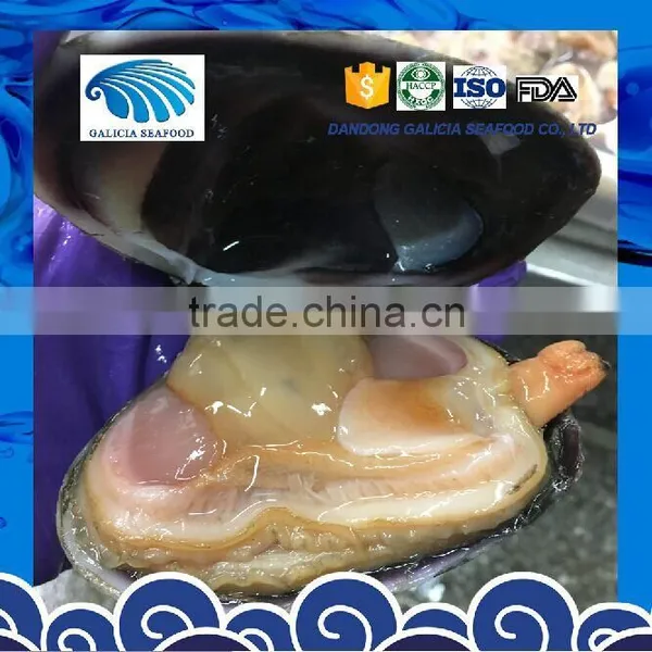 Frozen Huge Clam Wild Caught photo-2