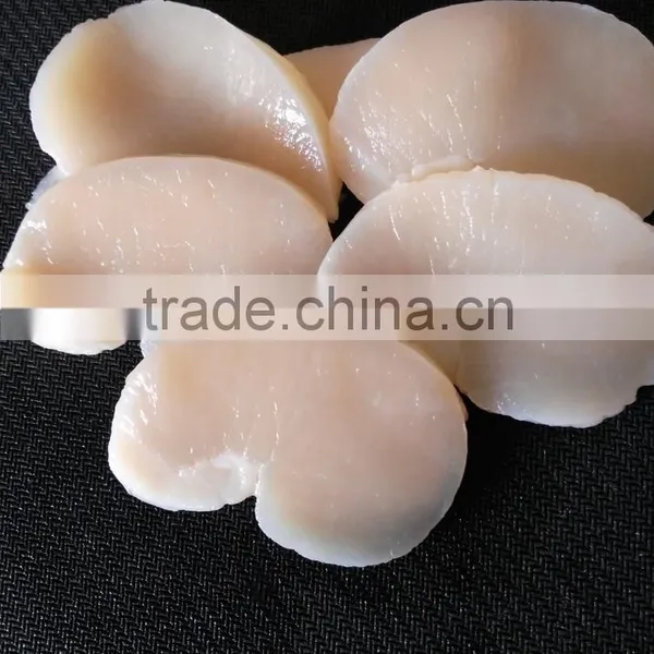 Frozen Scallop High Quality Pen Scallop for Sale photo-3