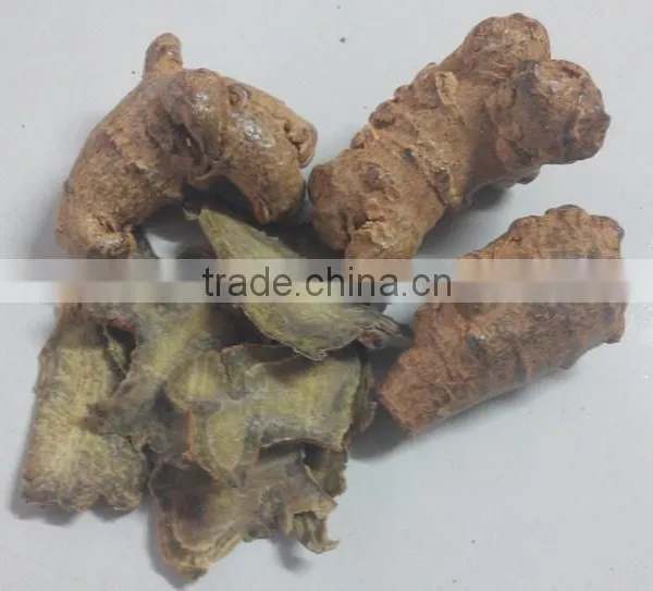 Factory Supply Dietary Supplyment 100% Natural Panax Notoginseng P.E. / Wild Radix Notoginseng Extract photo-3