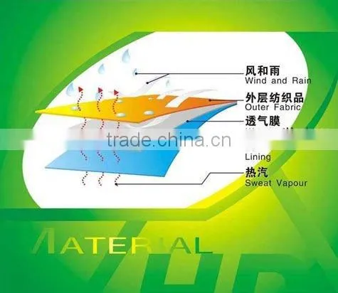Dongguan Shoe Material Factory in China photo-2