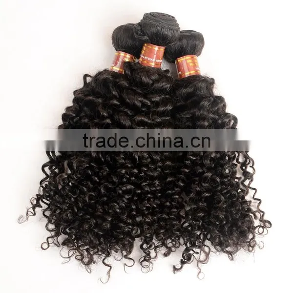 7A Grade Unprocessed Virgin Malaysian Curly Hair photo-5
