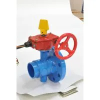 UL/FM BUTTERFLY VALVES photo-3