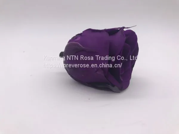 Preserved Fresh Roses Flower for Home Decoration photo-5