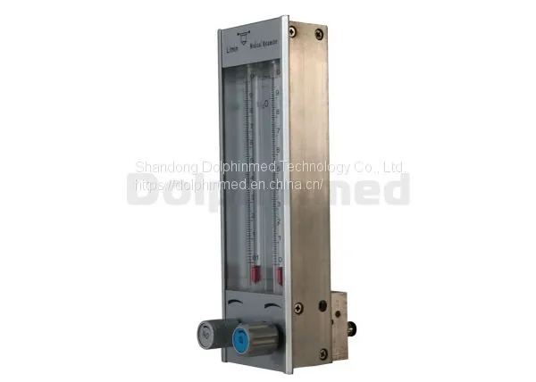 DP309 Flowmeter
