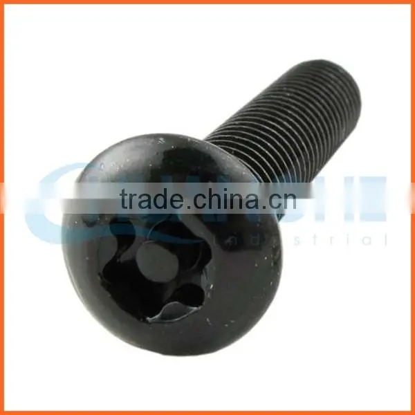 China Supplier Galvanized Anti-theft Screw photo-2