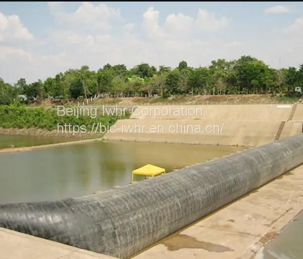 Rubber Dam photo-2