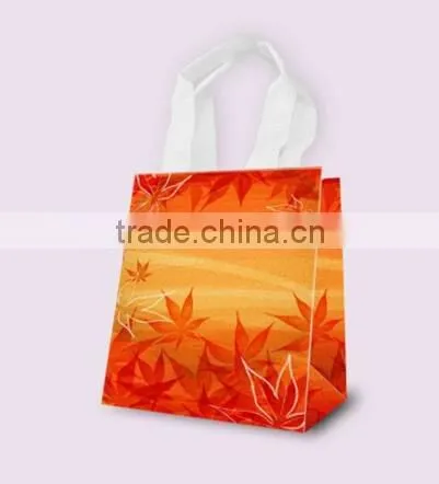 Fancy Gift Bag, Souvenir Packaging Bags photo-4