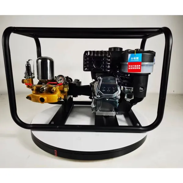 4-stroke 6.5hp Power Sprayer Gasoline Engine Hand Start