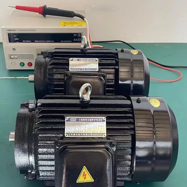 Synchronous Motor