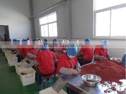 Dried Goji Berry Chinese Wolfberry photo-2
