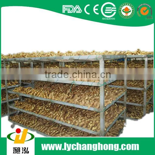 2015 Best Quality Dried Ginger photo-2