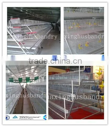 Used Battery Poulry Broiler Cage System for Sale photo-2
