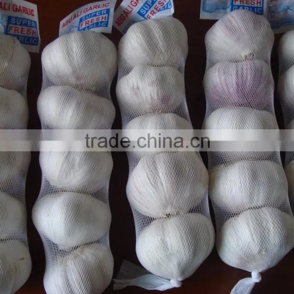 China 2016 Fresh Garlic photo-2