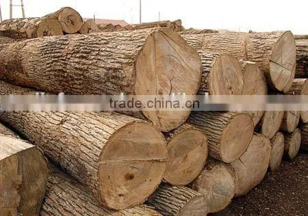 Bed Slats LVL Pine / Birch Wood Logs Hardwood Popular Shandong photo-5
