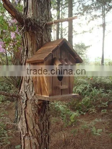 Wild Bird House