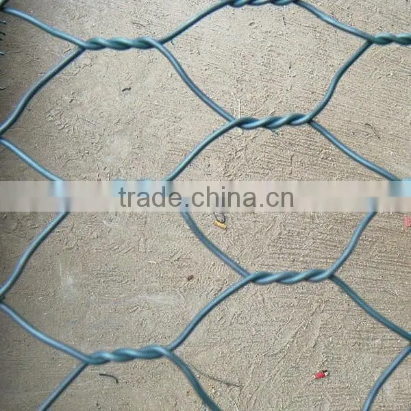 Green Pvc Coated Chicken Wire Mesh photo-6