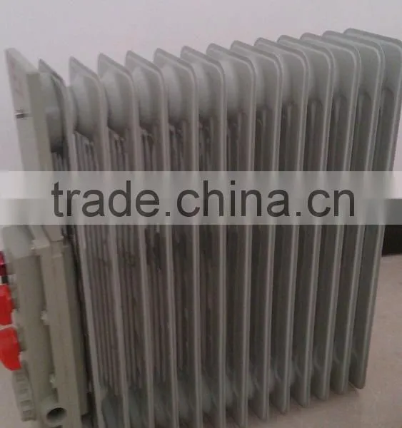 BDR51 Free Standing Electric Oil Heater IIB With Lowest Price photo-5