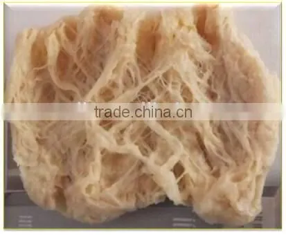 CE Approved Industrial Soybean Protein Production Machine photo-6