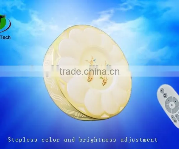China Manufacturer 2.4g Wireless Led Ceiling Light/lamp photo-3