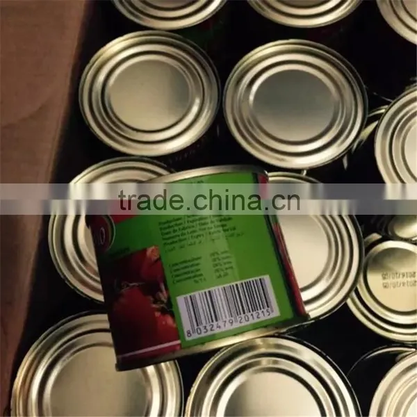 400g Chinese Standard Canned Vegetable Tomato Paste photo-3