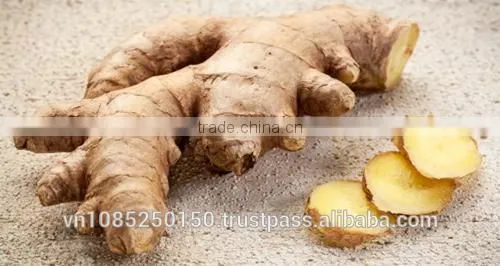Frozen Ginger Puree - High Quality From Vietnam
