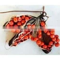 Gloriosa Superba Extract (Thiocolchicoside) IP/FP photo-4