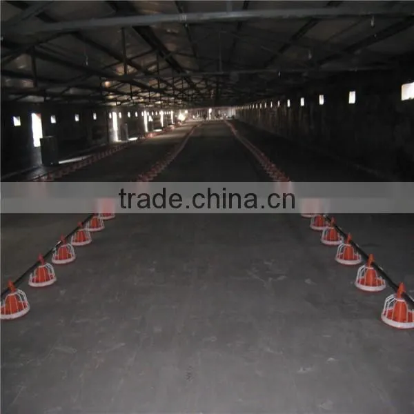 Meat Chicken Poultry Feeding Line photo-4