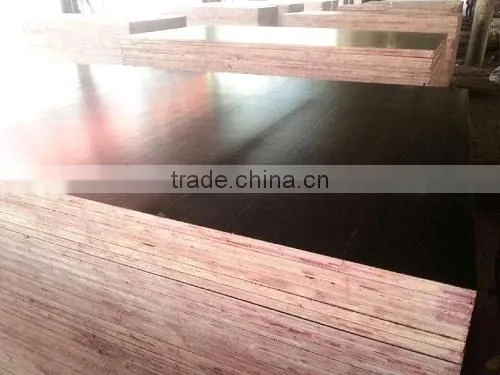 Vietnam Plywood for Packing, Furniture and Commercial photo-5