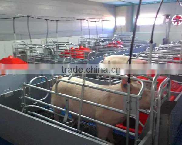 Pig Farrowing Crate for Sale
