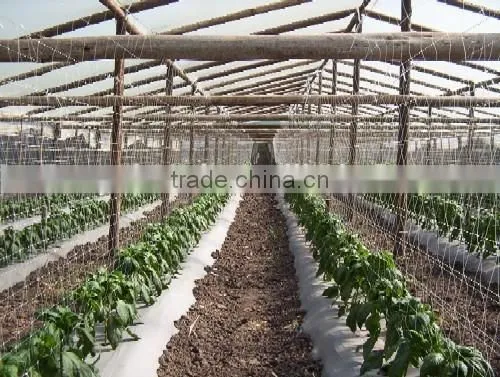 PP Plant Support Net Clamp Netting photo-4