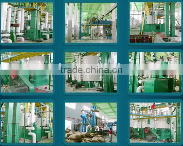 Prefessional Automatic Cold Press Safflower Oil Extracton Machine photo-5