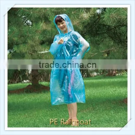 Blue Cheap PE Raincoat Prices photo-4