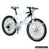 MTB Bike