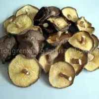 Mushrooms
