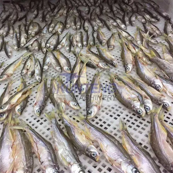 Fish Dryer Sardine Fish Steam Dryer Machine Fish Slice Catfish Tilapia Tray Dryer EPC photo-3