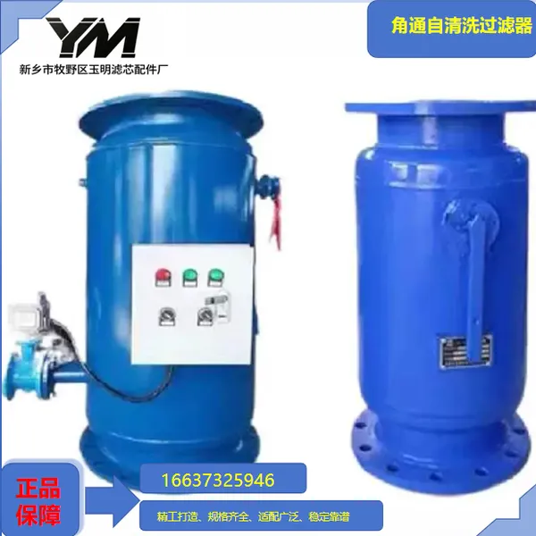 Angle Type Self-cleaning Filter photo-5