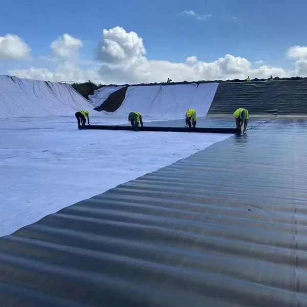 HDPE Geomembrane photo-4