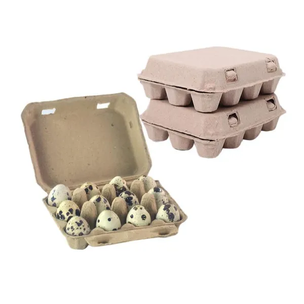 Plastic-free Quail Egg Box for Smallholder Farmers – 12-Cell Biodegradable Container