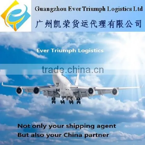 Mini Segway Self Balancing Scooter Air Freight From Guangzhou/Shenzhen to Poland photo-2