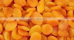 Compote Apricots in Syrup A10 Tin (3100 Mll x 06 Tins) photo-2
